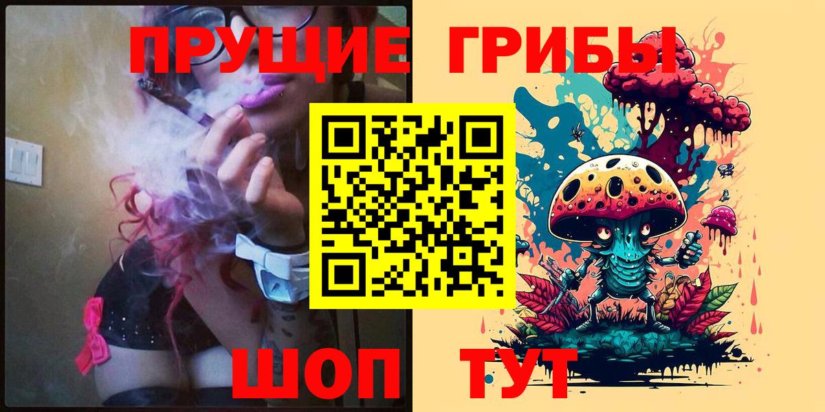 Псилоцибиновые грибы Psilocybine cubensis Майкоп