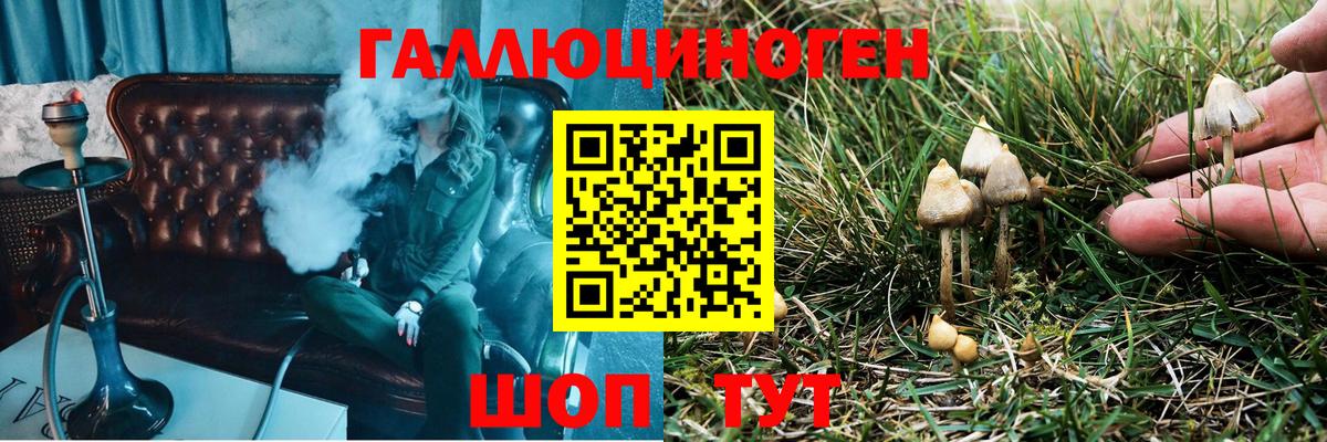 Псилоцибиновые грибы мухоморы  Вход с VPN  Майкоп 
