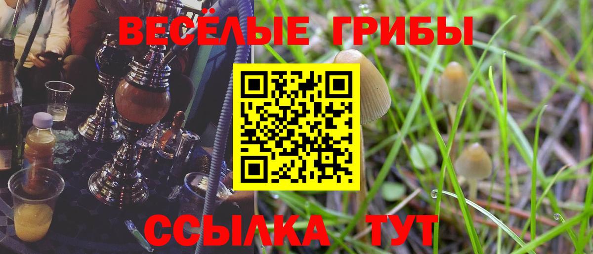 Псилоцибиновые грибы ЛСД Майкоп