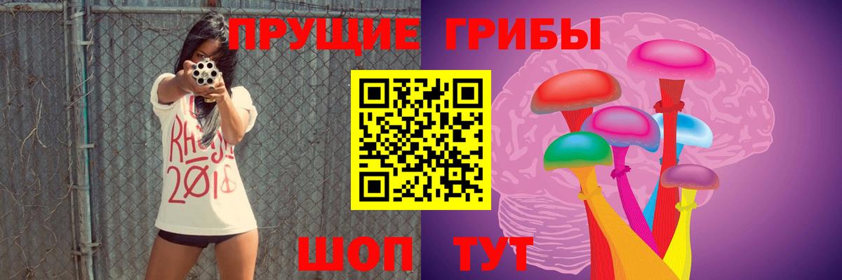 хочу наркоту  Майкоп  Галлюциногенные грибы ЛСД  Псилоцибиновые грибы Psilocybine cubensis 